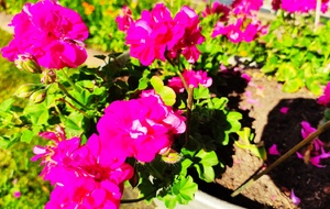 Journée critérium Hivernal