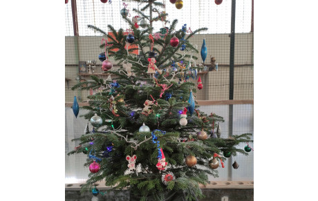 Jean Paul a bien travaillé